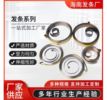 廠家供應發條系列不銹鋼五金彈簧發條收繩收線發條