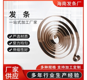 渦卷發條彈簧 臺鉆彈簧 鉆床彈簧配件 銑床彈簧